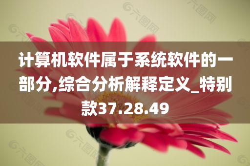 计算机软件属于系统软件的一部分,综合分析解释定义_特别款37.28.49