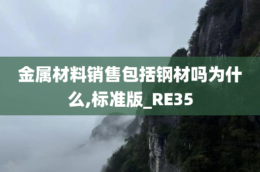 金属材料销售包括钢材吗为什么,标准版_RE35