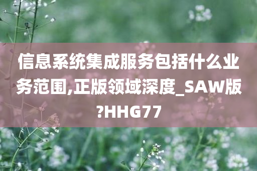 信息系统集成服务包括什么业务范围,正版领域深度_SAW版?HHG77