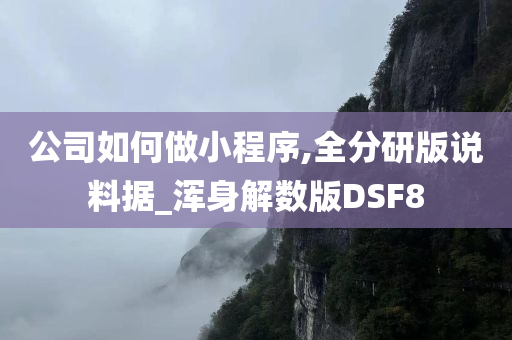 公司如何做小程序,全分研版说料据_浑身解数版DSF8