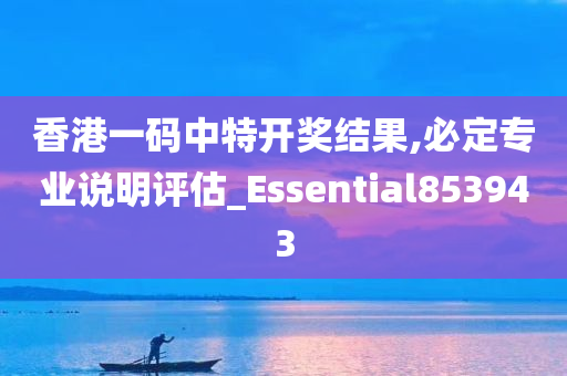 香港一码中特开奖结果,必定专业说明评估_Essential853943