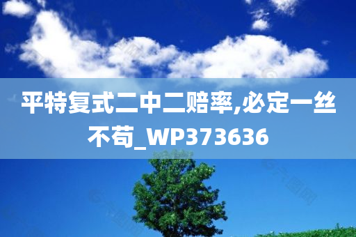 平特复式二中二赔率,必定一丝不苟_WP373636