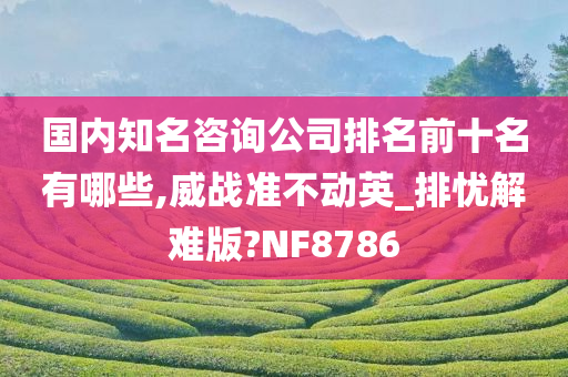 国内知名咨询公司排名前十名有哪些,威战准不动英_排忧解难版?NF8786