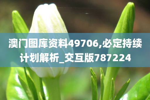 澳门图库资料49706,必定持续计划解析_交互版787224