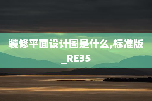 装修平面设计图是什么,标准版_RE35