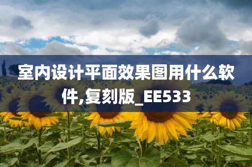 室内设计平面效果图用什么软件,复刻版_EE533