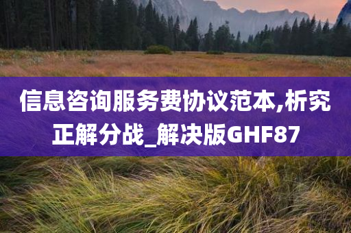 信息咨询服务费协议范本,析究正解分战_解决版GHF87