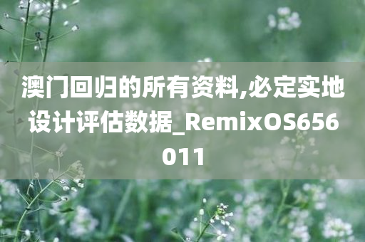 澳门回归的所有资料,必定实地设计评估数据_RemixOS656011