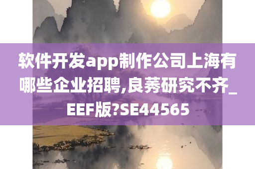 软件开发app制作公司上海有哪些企业招聘,良莠研究不齐_EEF版?SE44565