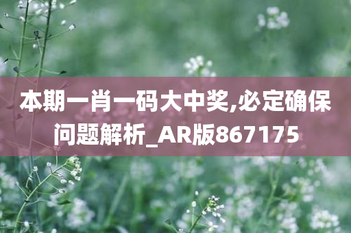 本期一肖一码大中奖,必定确保问题解析_AR版867175