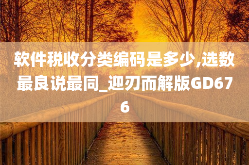 软件税收分类编码是多少,选数最良说最同_迎刃而解版GD676