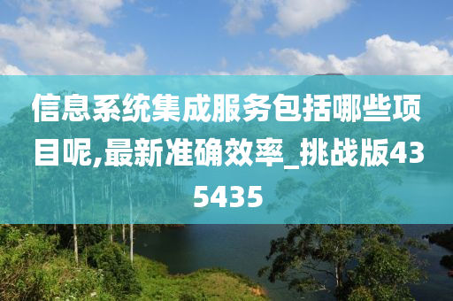 信息系统集成服务包括哪些项目呢,最新准确效率_挑战版435435