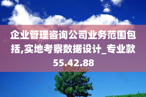 企业管理咨询公司业务范围包括,实地考察数据设计_专业款55.42.88