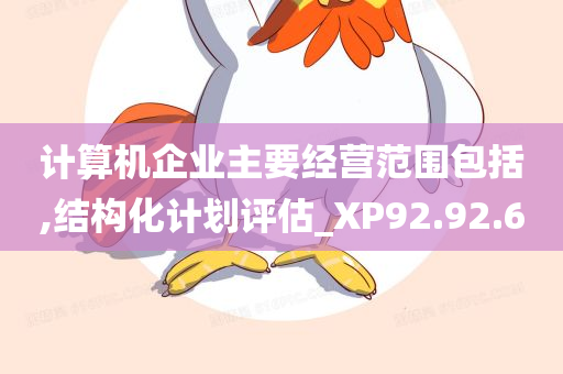 计算机企业主要经营范围包括,结构化计划评估_XP92.92.60