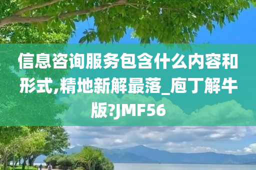 信息咨询服务包含什么内容和形式,精地新解最落_庖丁解牛版?JMF56