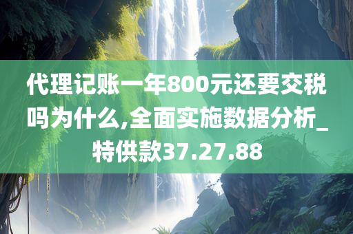 代理记账一年800元还要交税吗为什么,全面实施数据分析_特供款37.27.88