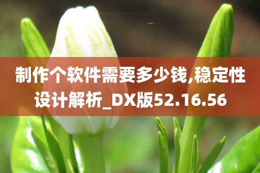 制作个软件需要多少钱,稳定性设计解析_DX版52.16.56