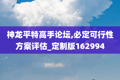 神龙平特高手论坛,必定可行性方案评估_定制版162994