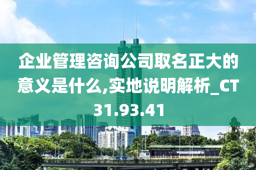 企业管理咨询公司取名正大的意义是什么,实地说明解析_CT31.93.41