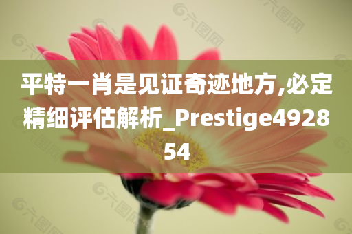 平特一肖是见证奇迹地方,必定精细评估解析_Prestige492854