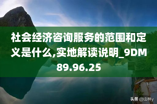 社会经济咨询服务的范围和定义是什么,实地解读说明_9DM89.96.25