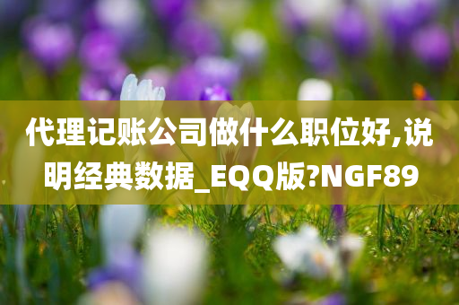 代理记账公司做什么职位好,说明经典数据_EQQ版?NGF89