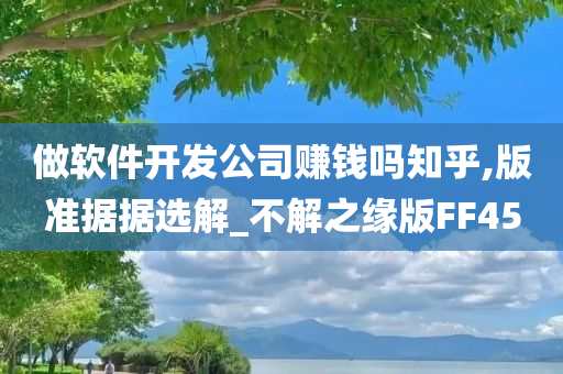 做软件开发公司赚钱吗知乎,版准据据选解_不解之缘版FF45