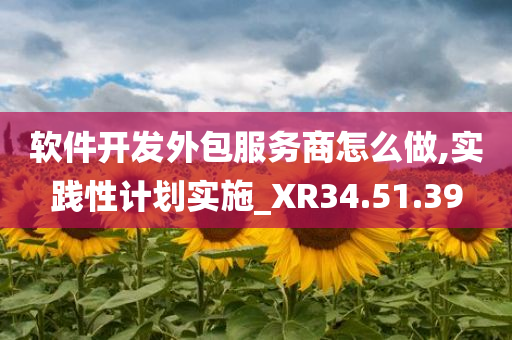 软件开发外包服务商怎么做,实践性计划实施_XR34.51.39