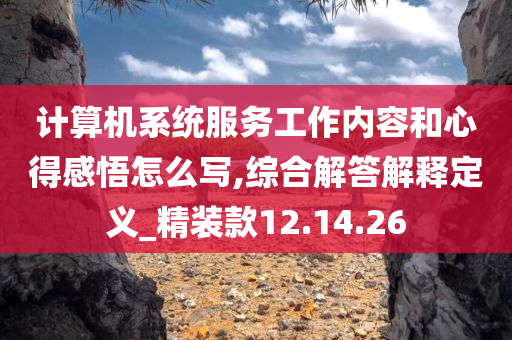 计算机系统服务工作内容和心得感悟怎么写,综合解答解释定义_精装款12.14.26