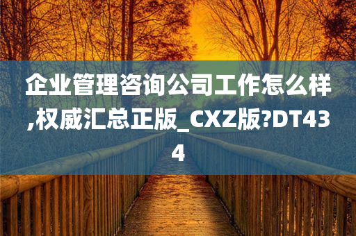 企业管理咨询公司工作怎么样,权威汇总正版_CXZ版?DT434