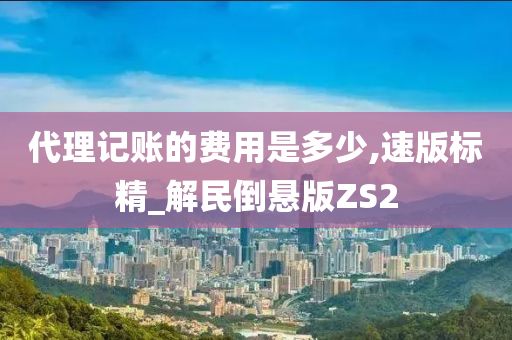 代理记账的费用是多少,速版标精_解民倒悬版ZS2