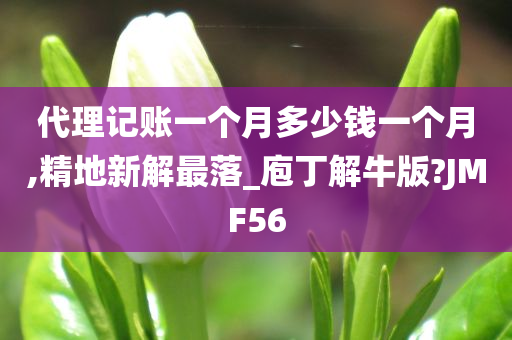 代理记账一个月多少钱一个月,精地新解最落_庖丁解牛版?JMF56