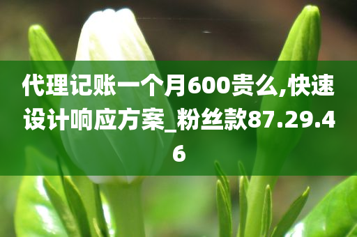 代理记账一个月600贵么,快速设计响应方案_粉丝款87.29.46