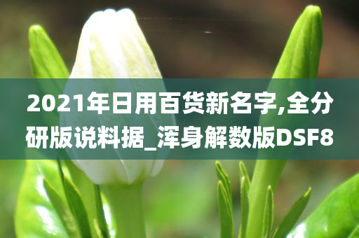 2021年日用百货新名字,全分研版说料据_浑身解数版DSF8