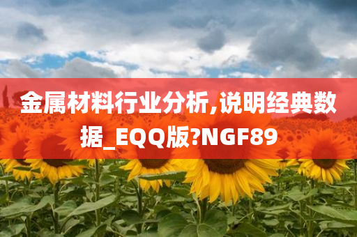 金属材料行业分析,说明经典数据_EQQ版?NGF89