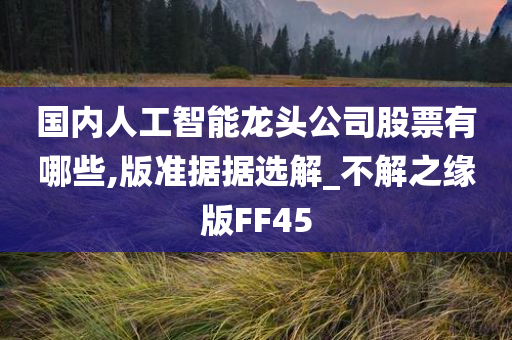 国内人工智能龙头公司股票有哪些,版准据据选解_不解之缘版FF45