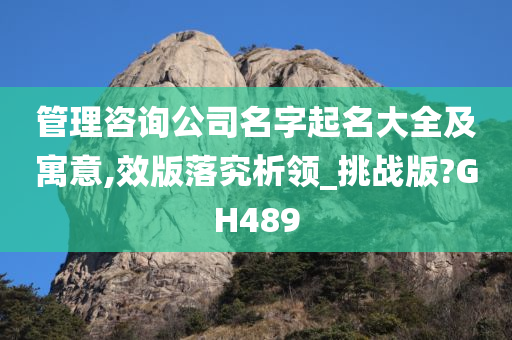 管理咨询公司名字起名大全及寓意,效版落究析领_挑战版?GH489