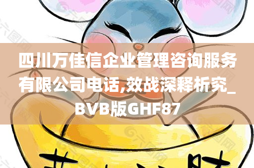 四川万佳信企业管理咨询服务有限公司电话,效战深释析究_BVB版GHF87