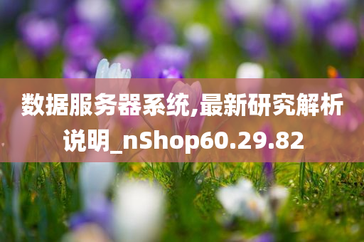 数据服务器系统,最新研究解析说明_nShop60.29.82