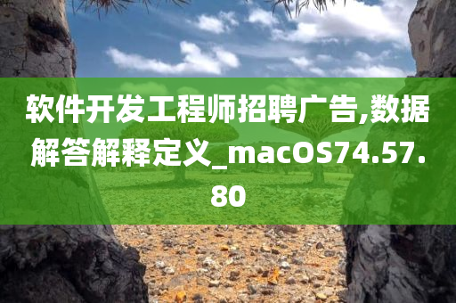 软件开发工程师招聘广告,数据解答解释定义_macOS74.57.80