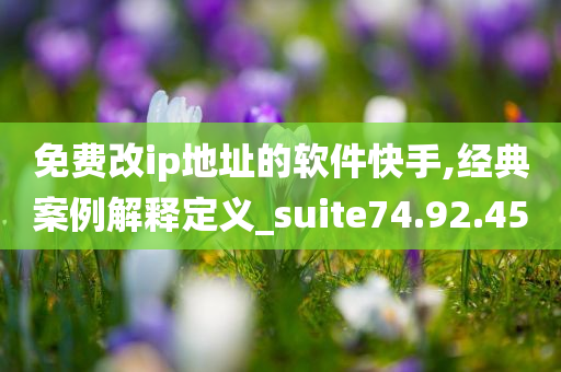 免费改ip地址的软件快手,经典案例解释定义_suite74.92.45