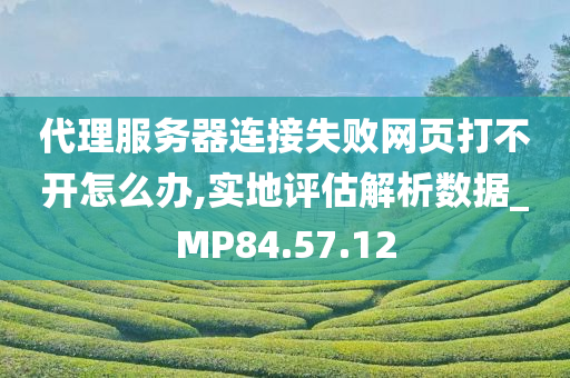 代理服务器连接失败网页打不开怎么办,实地评估解析数据_MP84.57.12