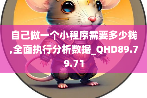 自己做一个小程序需要多少钱,全面执行分析数据_QHD89.79.71