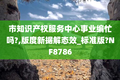 市知识产权服务中心事业编忙吗?,版度新据解态效_标准版?NF8786