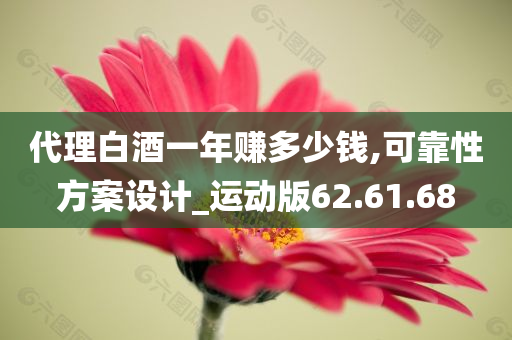 代理白酒一年赚多少钱,可靠性方案设计_运动版62.61.68