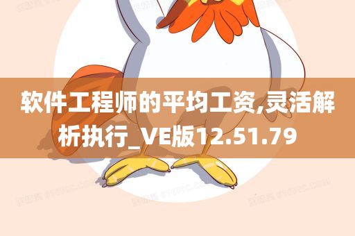 软件工程师的平均工资,灵活解析执行_VE版12.51.79