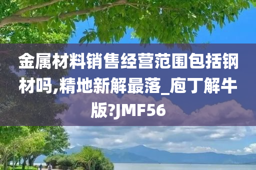 金属材料销售经营范围包括钢材吗,精地新解最落_庖丁解牛版?JMF56