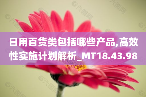 日用百货类包括哪些产品,高效性实施计划解析_MT18.43.98