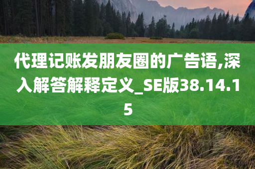 代理记账发朋友圈的广告语,深入解答解释定义_SE版38.14.15