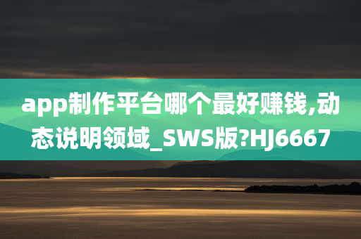 app制作平台哪个最好赚钱,动态说明领域_SWS版?HJ6667